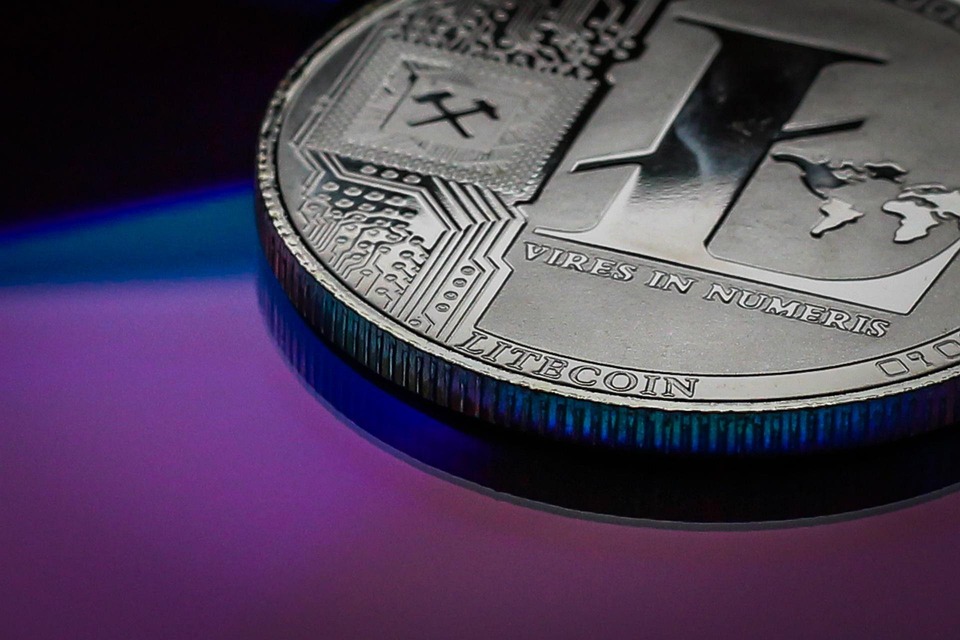 LUNA、UST注意！Terraform Labs推出损失申报平台 5月16日截止
